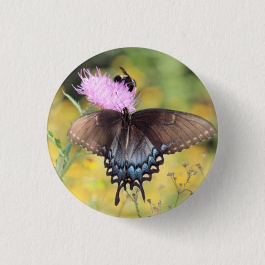 Schmetterling Button (Vorderseite)