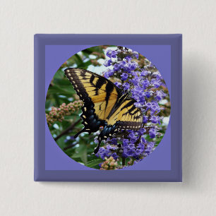 Schmetterling Button