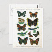 Schmetterling-Clip-Art-19 Postkarte (Vorne/Hinten)