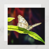 Schmetterling Danke Karte (Vorne/Hinten)