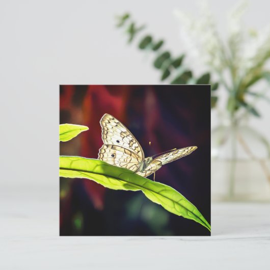 Schmetterling Danke Karte (Stehend Vorderseite)