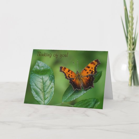 Schmetterling Denken Sie an Sie! Karte (Vorderseite)