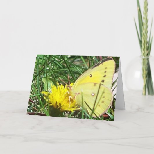 Schmetterling - Denken Sie an Sie Karte (Vorderseite)