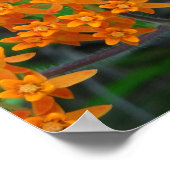 Schmetterling der Ermutigung, der Hoffnung und der Poster (Ecke)