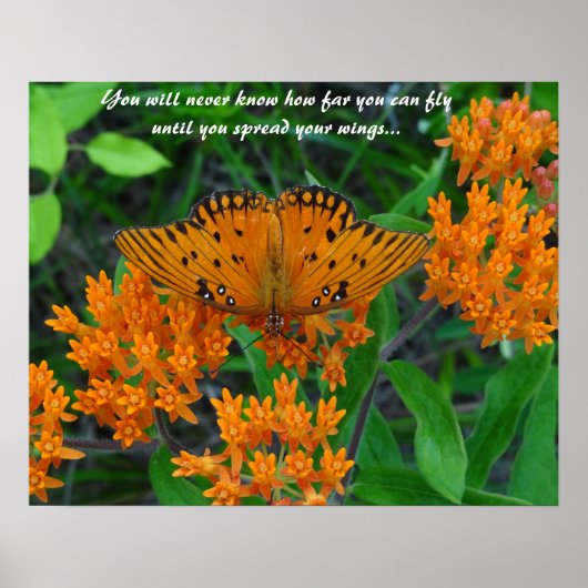 Schmetterling der Ermutigung, der Hoffnung und der Poster (Vorne)