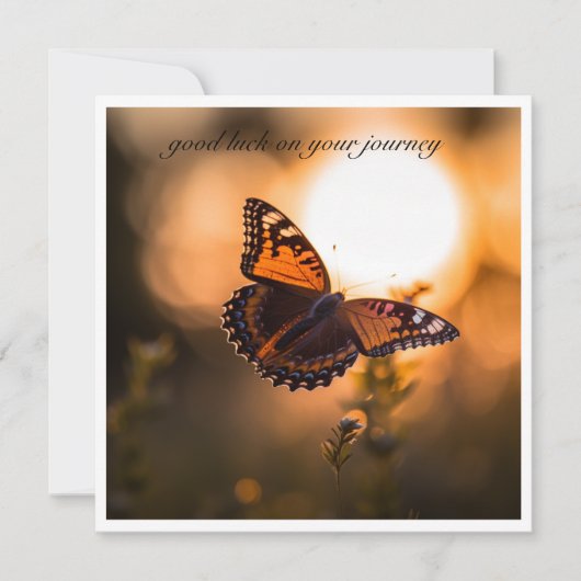 Schmetterling, der in den Sonnenuntergang fliegt, (Vorderseite)