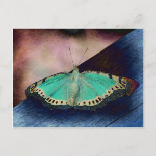 Schmetterling der Nacht Postkarte