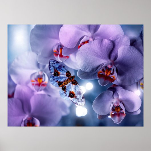 Schmetterling, der rosa und Lila Orchideen-Blume b Poster (Vorne)