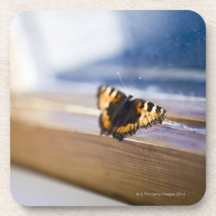 Schmetterling, der versucht hinauszugehen, untersetzer