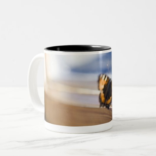Schmetterling, der versucht hinauszugehen, zweifarbige tasse (Vorderseite Links)