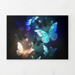 Schmetterling Dreifach Gefaltete Urlaubskarte