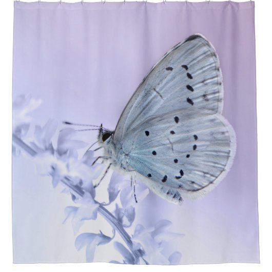 Schmetterling Duschvorhang (Vorderseite)