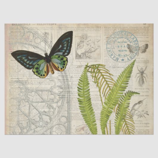 Schmetterling Ephemera Decoupage Papier (Vorderseite)