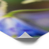 Schmetterling | Euphydryas Phaeton Poster (Ecke)