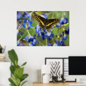 Schmetterling | Euphydryas Phaeton Poster (Heimbüro)