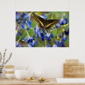 Schmetterling | Euphydryas Phaeton Poster (Küche)