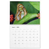 Schmetterling-Extravaganter Kalender (Mär 2026)
