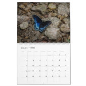Schmetterling-Extravaganter Kalender (Jan 2026)
