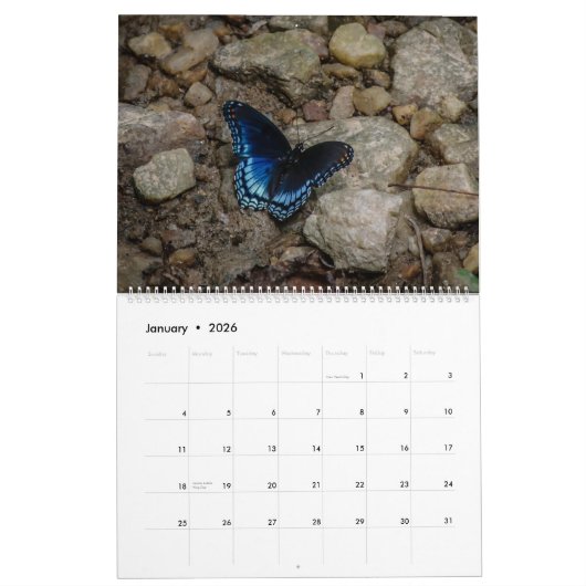 Schmetterling-Extravaganter Kalender (Jan 2026)