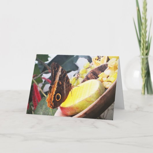 Schmetterling Feiertagskarte (Vorderseite)