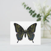 Schmetterling Fiction Frack Postkarte (Stehend Vorderseite)