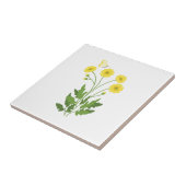 Schmetterling Fliese (Seite)