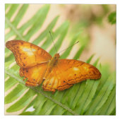 Schmetterling Fliese (Vorderseite)