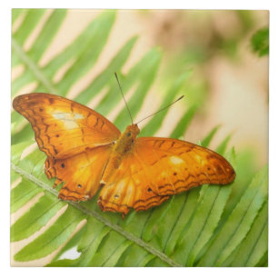 Schmetterling Fliese