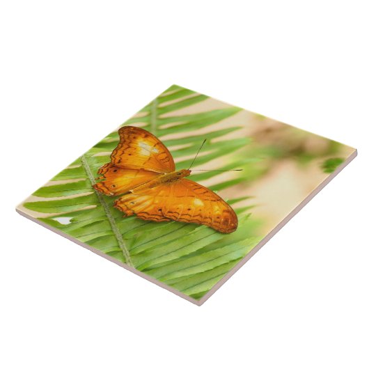 Schmetterling Fliese (Seite)