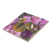 Schmetterling Fliese (Seite)