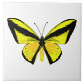 Schmetterling Fliese (Vorderseite)