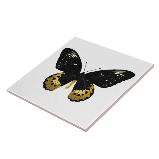 Schmetterling Fliese (Seite)