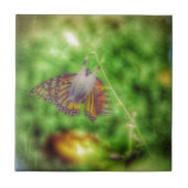 Schmetterling Fliese (Vorderseite)