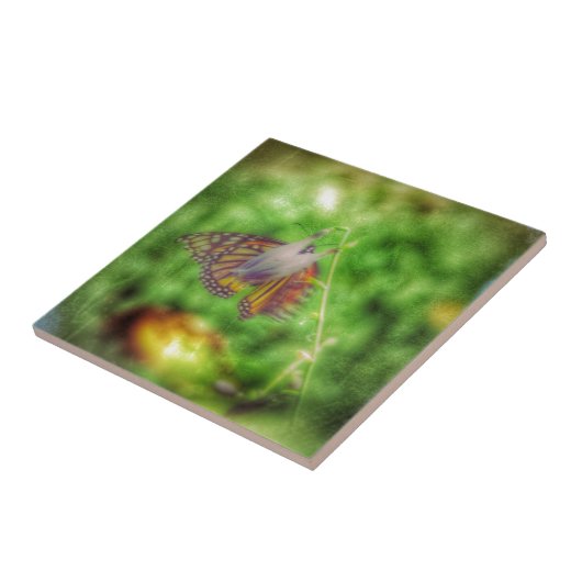 Schmetterling Fliese (Seite)