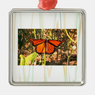 Schmetterling Foto Ornament Aus Metall