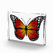 Schmetterling Fotoblock (Rechts)