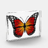 Schmetterling Fotoblock (Links)