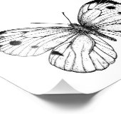 Schmetterling Fotodruck (Ecke)