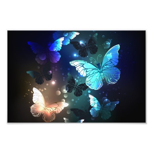 Schmetterling Fotodruck (Vorne)