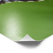 Schmetterling Fotodruck (Ecke)