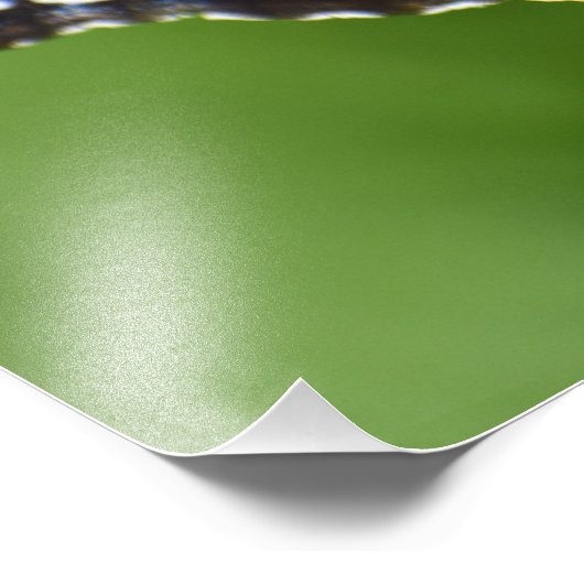 Schmetterling Fotodruck (Ecke)