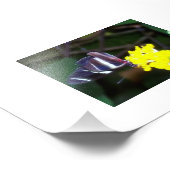 Schmetterling Fotodruck (Ecke)