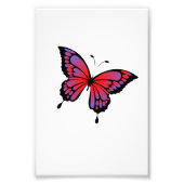 Schmetterling Fotodruck (Vorne)