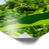 Schmetterling Fotodruck (Ecke)