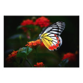 Schmetterling Fotodruck (Vorne)