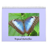 Schmetterling fotografiert Kalender 2012 (Titelbild)