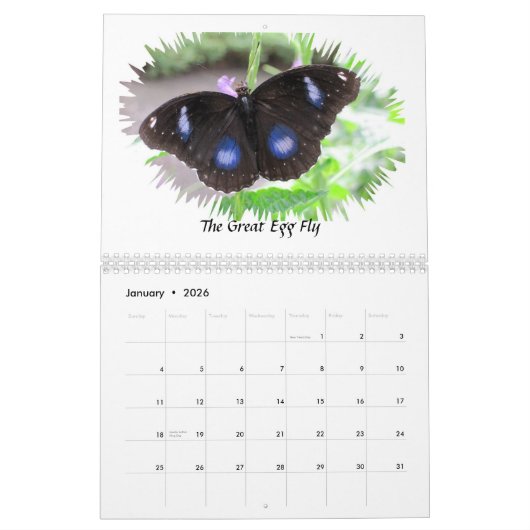 Schmetterling fotografiert Kalender 2012 (Jan 2026)
