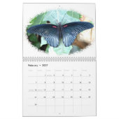 Schmetterling fotografiert Kalender 2012 (Feb 2027)