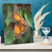 Schmetterling Fotoplatte (Seite)