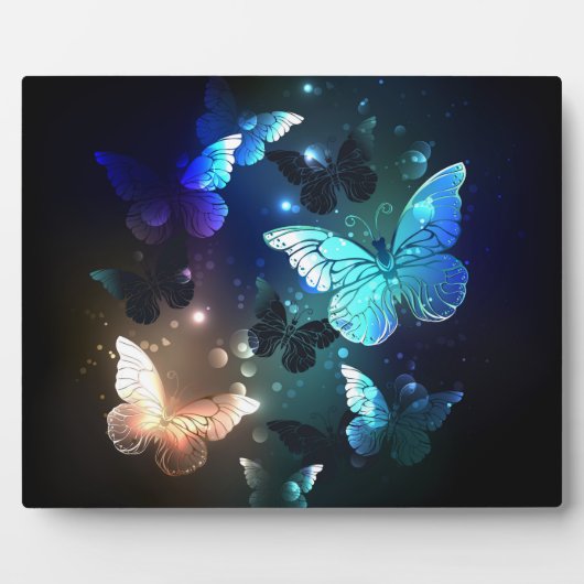 Schmetterling Fotoplatte (Vorderseite)